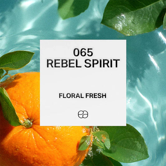 065 Rebel Spirit