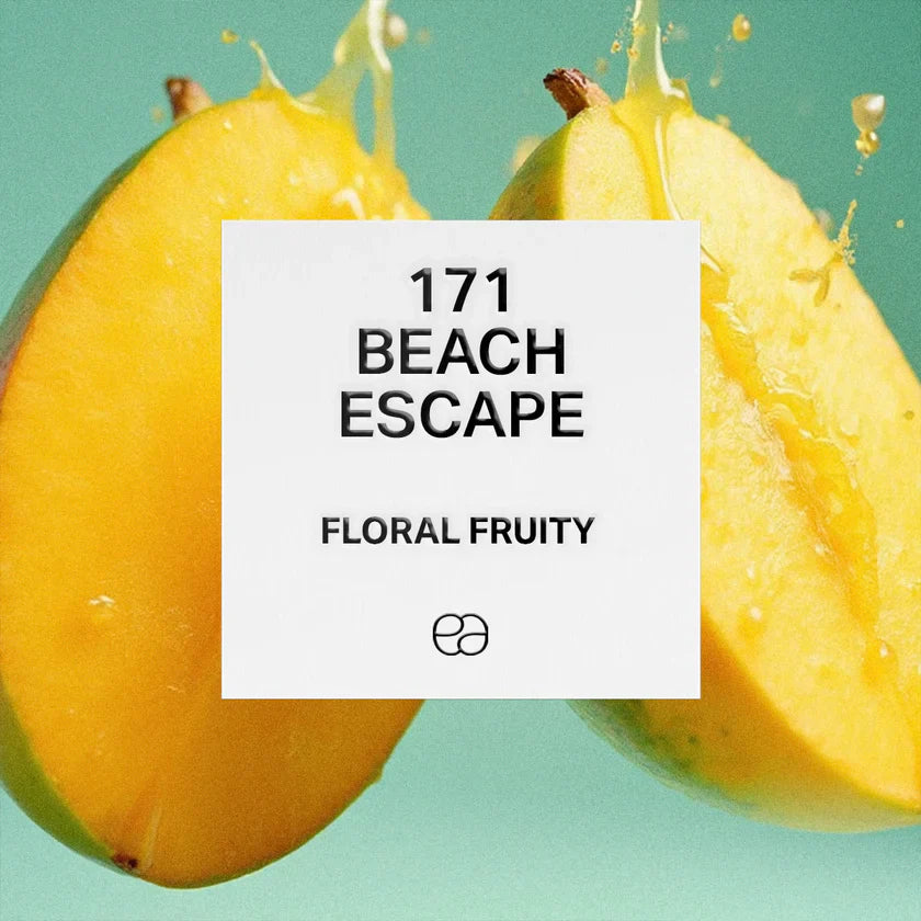 171 Beach Escape