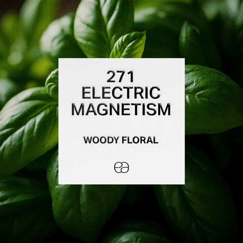 271 Electric Magnetism