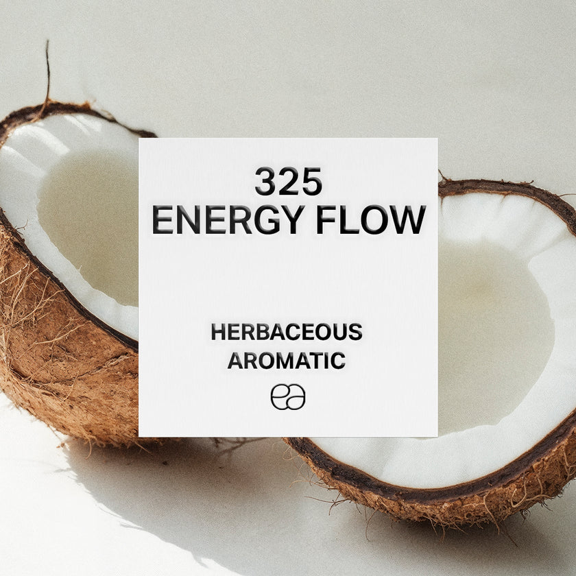 325 Energy Flow