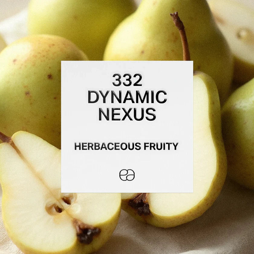 332 Dynamic Nexus