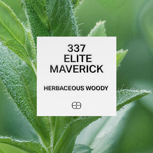 337 Elite Maverick