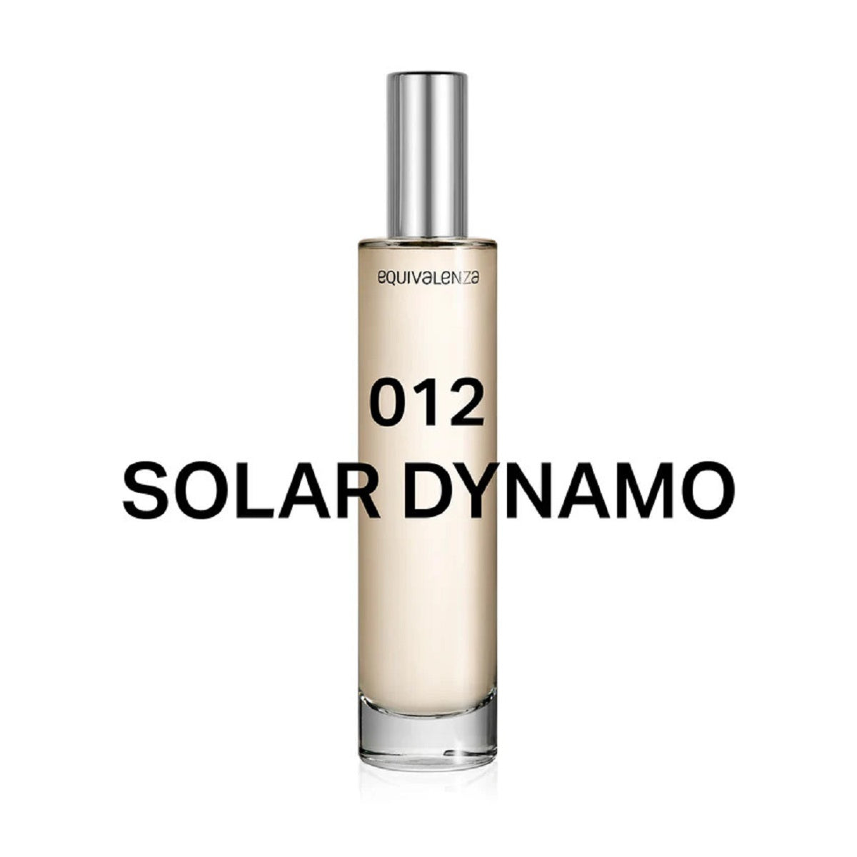 012 Solar Dynamo