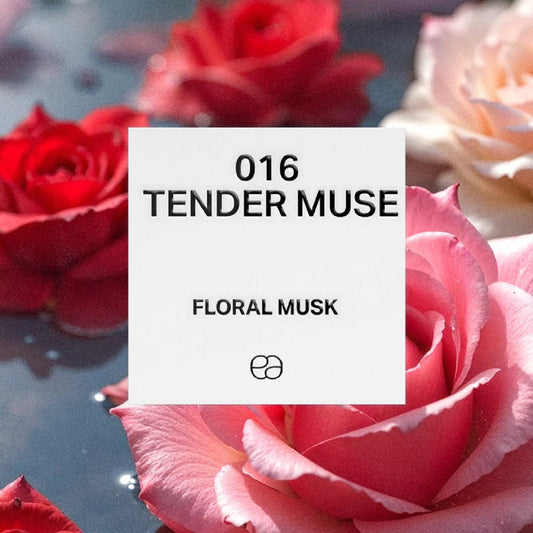 016 Tender Muse